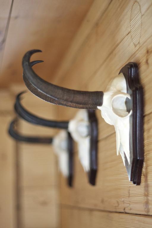Hotel Walliserkanne Grächen Zewnętrze zdjęcie
